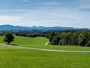 2025-07-20 - 1E0A2258-Pano- web
